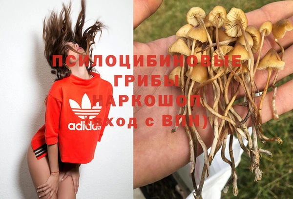героин Алексин