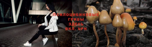 ALPHA PVP Алзамай