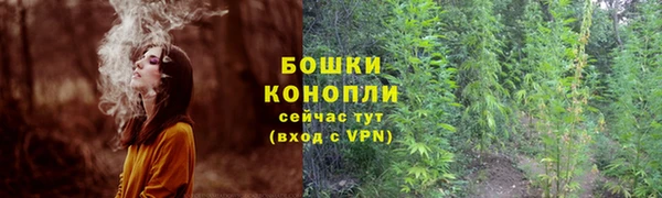 spice Абинск