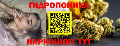 мдма Сланцы