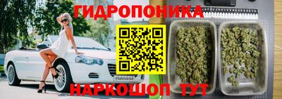 мдма Сланцы