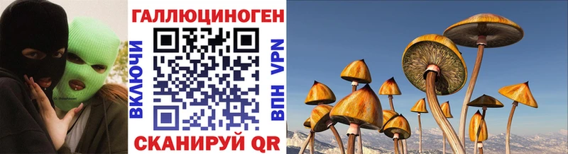 где можно купить Краснокамск Псилоцибиновые грибы прущие грибы