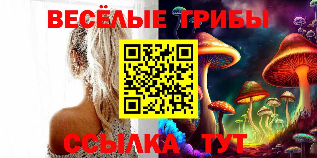 Псилоцибиновые грибы Cubensis  Псилоцибиновые грибы ЛСД  Краснокамск  Вход с VPN 
