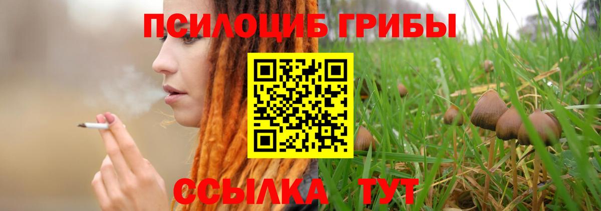 Псилоцибиновые грибы GOLDEN TEACHER Краснокамск